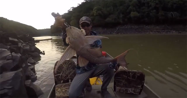 Video: Dropping a fishing line in the river, the man suddenly pulled up a creature with a 'devil face'