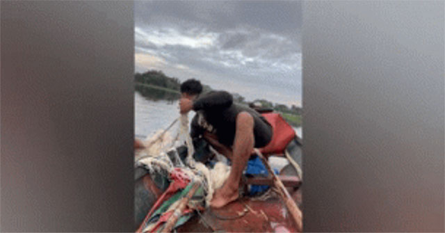 Video: Fishermen caught a giant fish weighing 150kg on the Mekong River