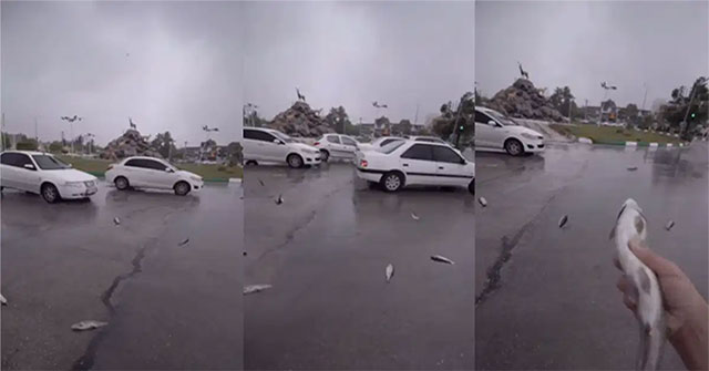 Video: Unusual 'fish rain' appears in Iran