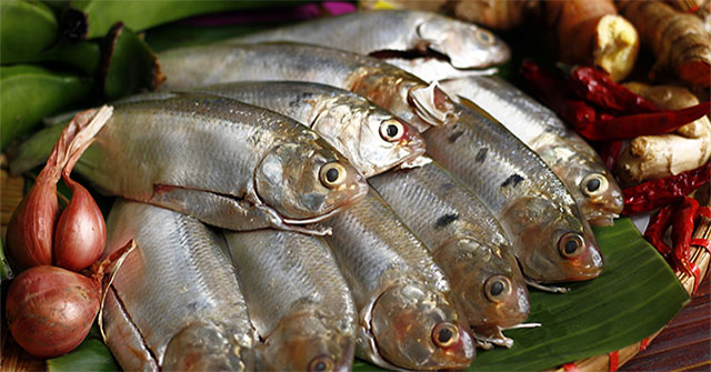 Vietnam has 4 types of fish rich in omega 3, which help control blood sugar and strengthen the heart and bones