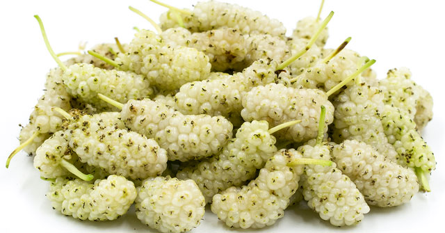Vietnam has a precious plant rich in vitamin C, which helps control blood sugar and nourish the liver effectively