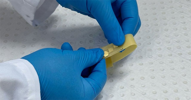 Vietnamese doctor makes a sensor to detect ammonia gas