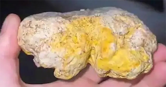Walking his dog, a man found 'floating gold' on the beach