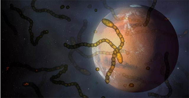 Warning aliens follow spacecraft to Earth?