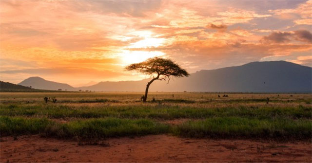 What are the salient features of the African climate?