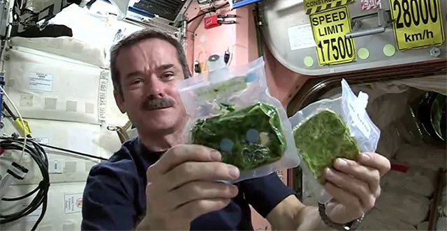 What do astronauts eat on multi-year missions?