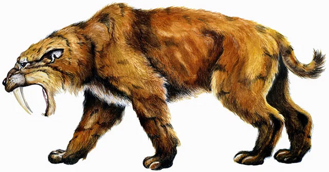 What if saber-toothed tigers still existed today?