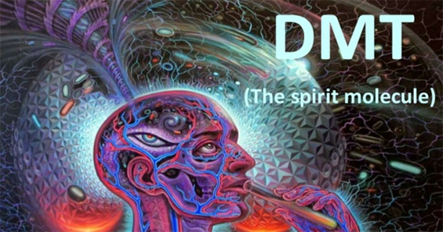 What is DMT? Does it really have the spiritual benefits that many people think?