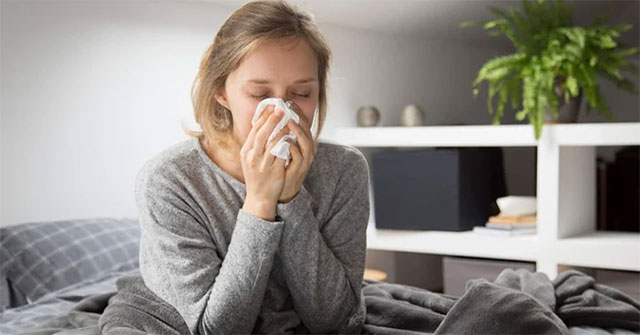 What is H3N2 flu?