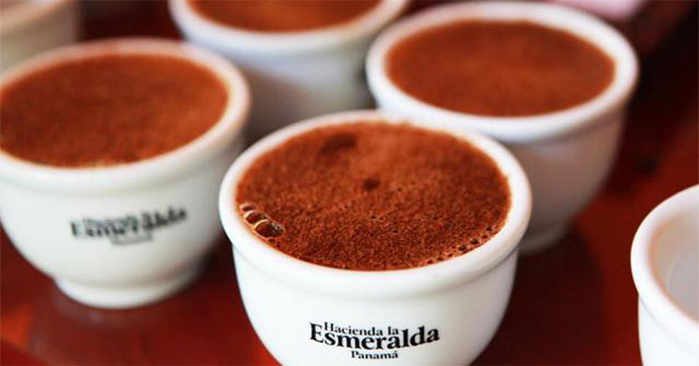 What's in the 8 most expensive coffees in the world, costing up to 100 USD/cup?