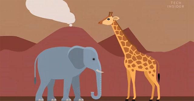 When animals compete in height: Can humans make it into the top 10?