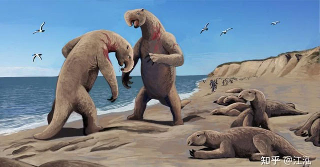 When the ground was too boring, this 'monster' began to learn the ancestors of whales and went to the sea to live.