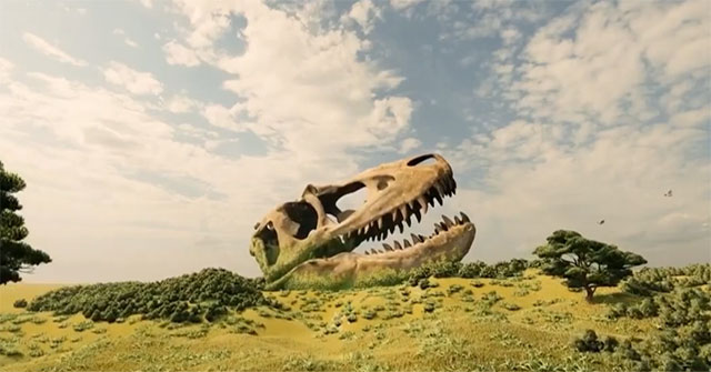 Why are dinosaur fossils more abundant than human bones?