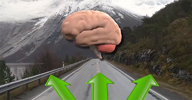 Why are some people good at direction recognition?