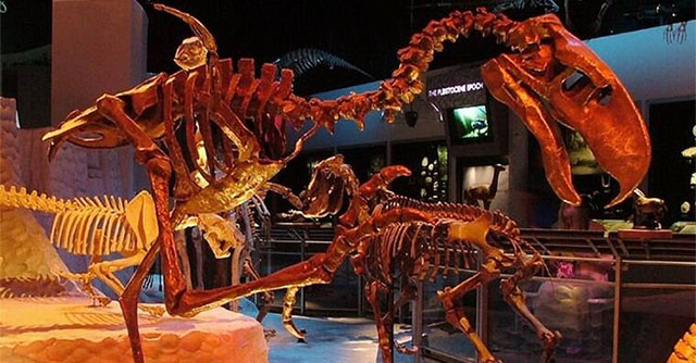 Why are the Phorusrhacids the most feared predator of prehistoric times?