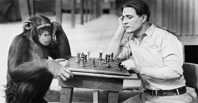 Why can humans talk but apes can't?