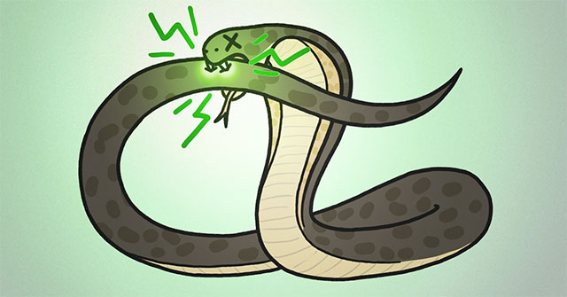 Why can't venomous animals be dangerous to themselves?