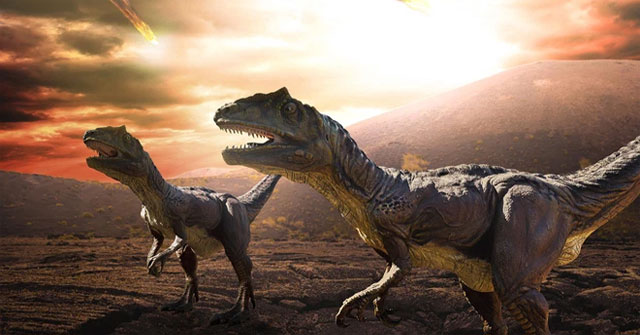 Why did birds survive when meteorites wiped out dinosaurs?