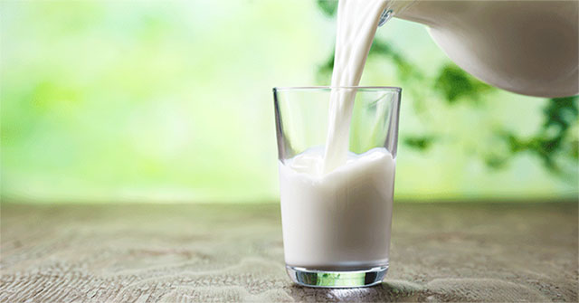 Why do Asians have a harder time absorbing milk than other races?