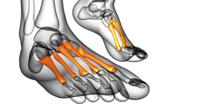 Why do Asians only have 204 bones while Europeans and Americans have 206?