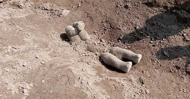 Why do elephants bury dead baby elephants with their hooves in the air?