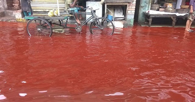 Why do some areas of the Earth appear 'blood rain'?