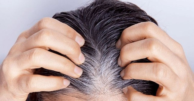 Why does gray hair never turn black again?