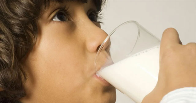 Why does milk reduce the effectiveness of antibiotics?