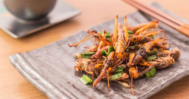 Why insects could be the key to food security?