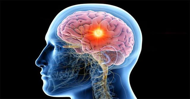 Why is the brain the largest energy consumer in the body?
