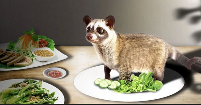 Wild animal meat - a lucky or harmful dish?