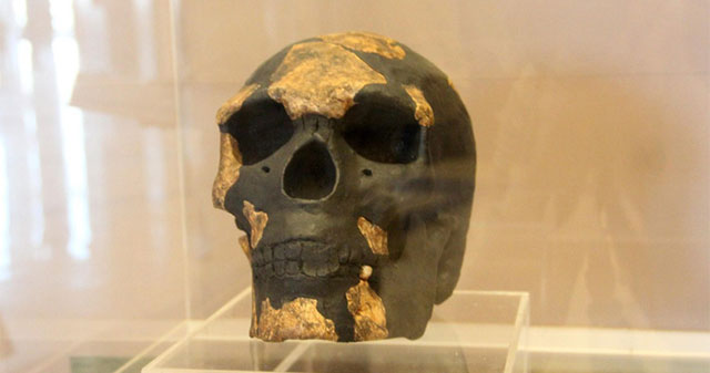 World history is turned upside down because of the world's oldest fossil of a wise man
