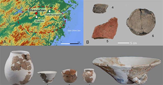 World's oldest wine discovered in China