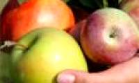 10 common 'superfoods' during seasonal weather