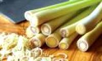 10 effects of lemongrass on health and beauty