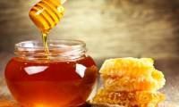 10 foods that could help humans survive the apocalypse.