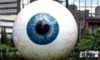 10 Guinness World Records
