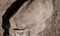 10 most archeological discoveries (1)