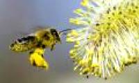 10 newly discovered scientific mysteries (Last part)