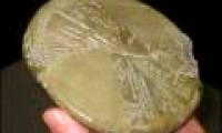 10 newly discovered scientific mysteries (Part 3)