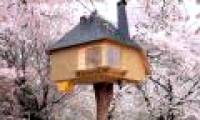 10 super beautiful tree houses in the world