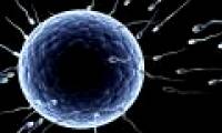 10 things you don't know about sperm