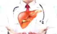 10 things you may not know about the liver