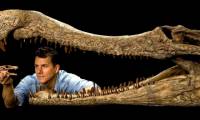100 million years ago, the Sahara Desert was inhabited by crocodiles that could run like athletes