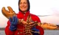 100-year-old giant lobster
