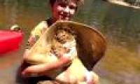 12-year-old boy gives birth to stingrays