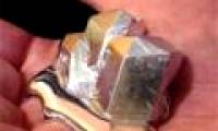 15 pictures of interesting things you may not have been able to say