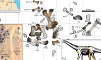 15m long monster never seen before 'rises' in the middle of the Egyptian desert