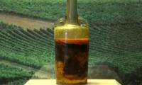 1,700-year-old wine bottle found in ancient tomb, expert says it may still be drinkable