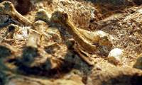 2 million-year-old mysterious creature carries 'human hand'